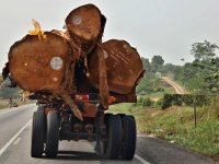 Velmi časté vozidlo na silnici v Kamerunu.
