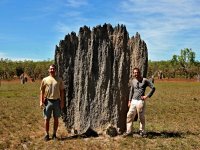 Amitermes meridionalis, Národní park Litchfield, Austrálie. Jan Šobotník & David Sillam-Dusses